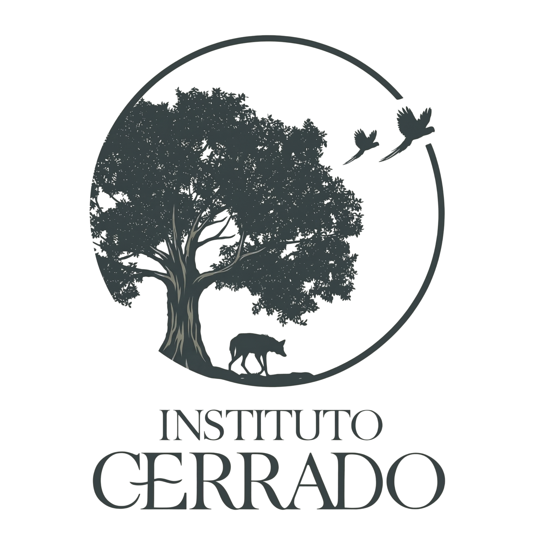 Logo Instituto Cerrado
